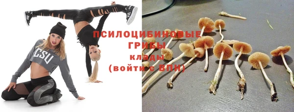 mdpv Вуктыл