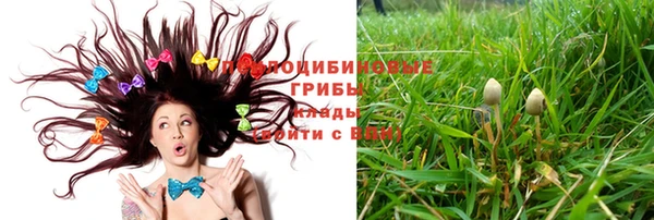 ГАЛЛЮЦИНОГЕННЫЕ ГРИБЫ Баксан