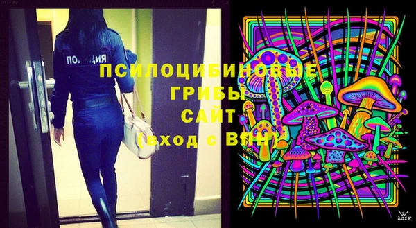 ГАЛЛЮЦИНОГЕННЫЕ ГРИБЫ Баксан