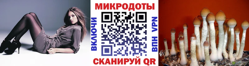 маркетплейс состав  Корсаков  Псилоцибиновые грибы Psilocybine cubensis 