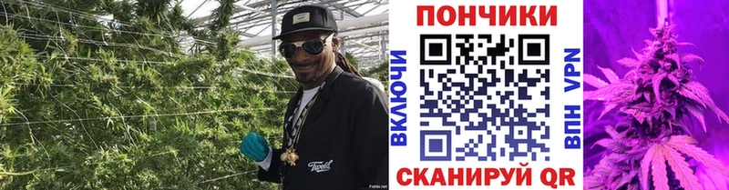 наркота Корсаков Шишки марихуана OG Kush